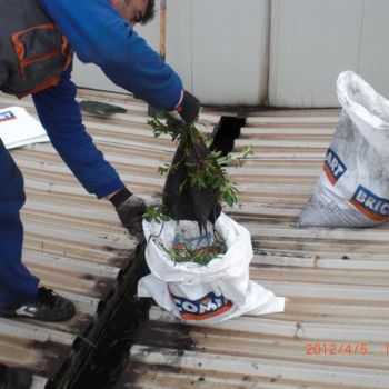 Limpieza de canaleta en Nave Industrial4