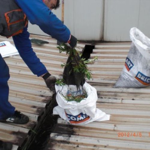 Limpieza de canaleta en Nave Industrial4